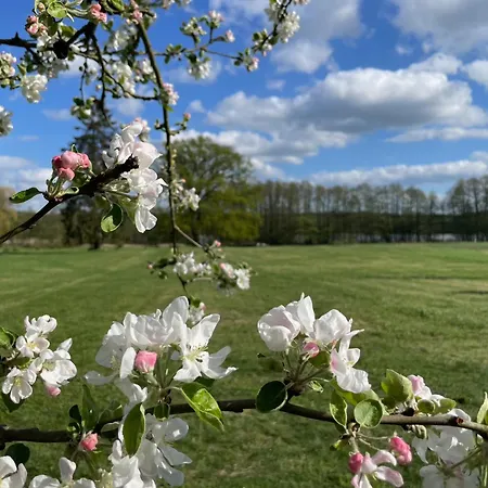 Gut Am - Ferienhauser * Settin