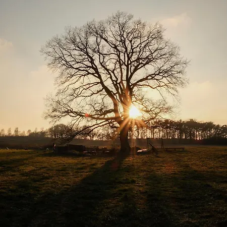בית נופש Gut Am - Ferienhauser *