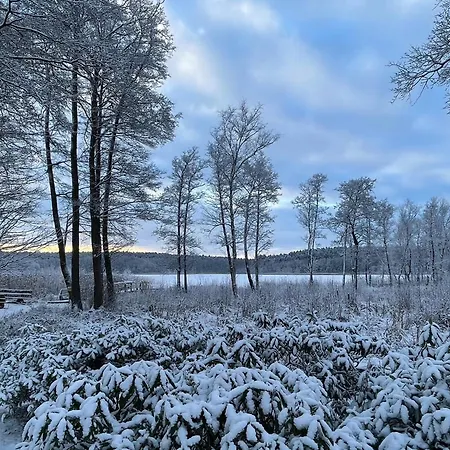 度假居 Gut Am - Ferienhaeuser