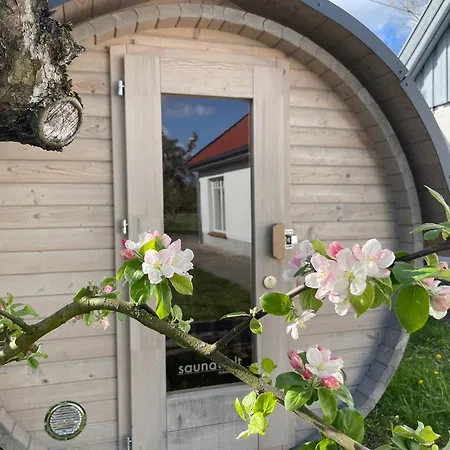 度假居 Gut Am - Ferienhaeuser Settin