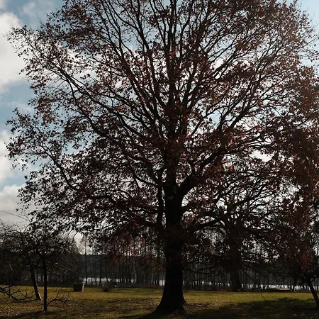 Gut Am - Ferienhauser *