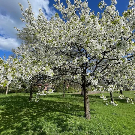 Gut Am - Ferienhauser