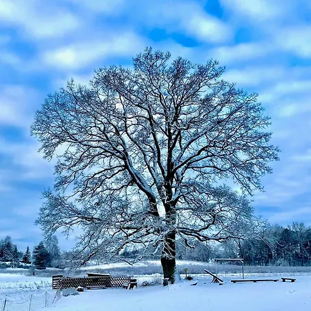 Gut Am - Ferienhauser בית נופש *