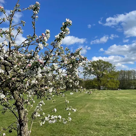 בית נופש Gut Am - Ferienhauser