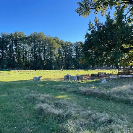 Gut Am - Ferienhaeuser 度假居 Settin