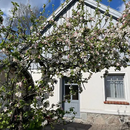 Gut Am - Ferienhaeuser * Settin