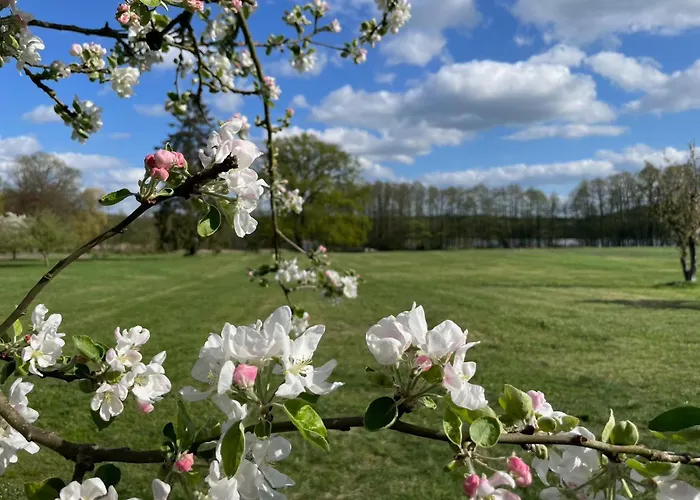 Gut Am - Ferienhaeuser * Settin