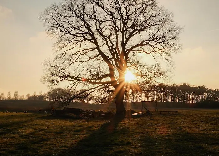 Hébergement de vacances Gut Am - Ferienhaeuser *