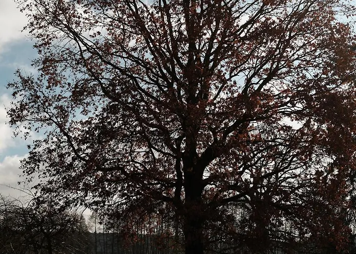 Gut Am - Ferienhaeuser *