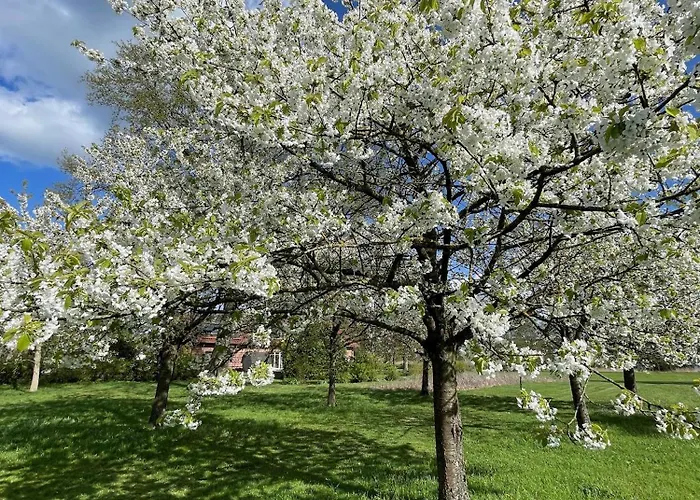 Gut Am - Ferienhaeuser