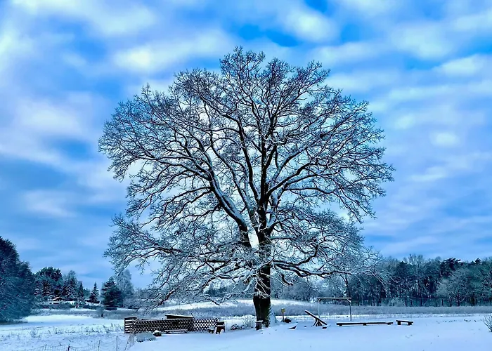 Gut Am - Ferienhaeuser Hébergement de vacances *