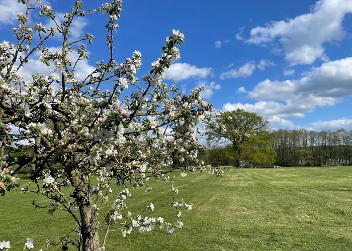 Hébergement de vacances Gut Am - Ferienhaeuser