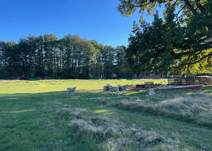 Gut Am - Ferienhaeuser Hébergement de vacances Settin
