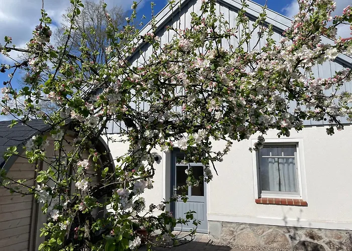 Gut Am - Ferienhaeuser * Settin